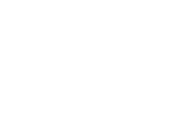 nopall.co Logo